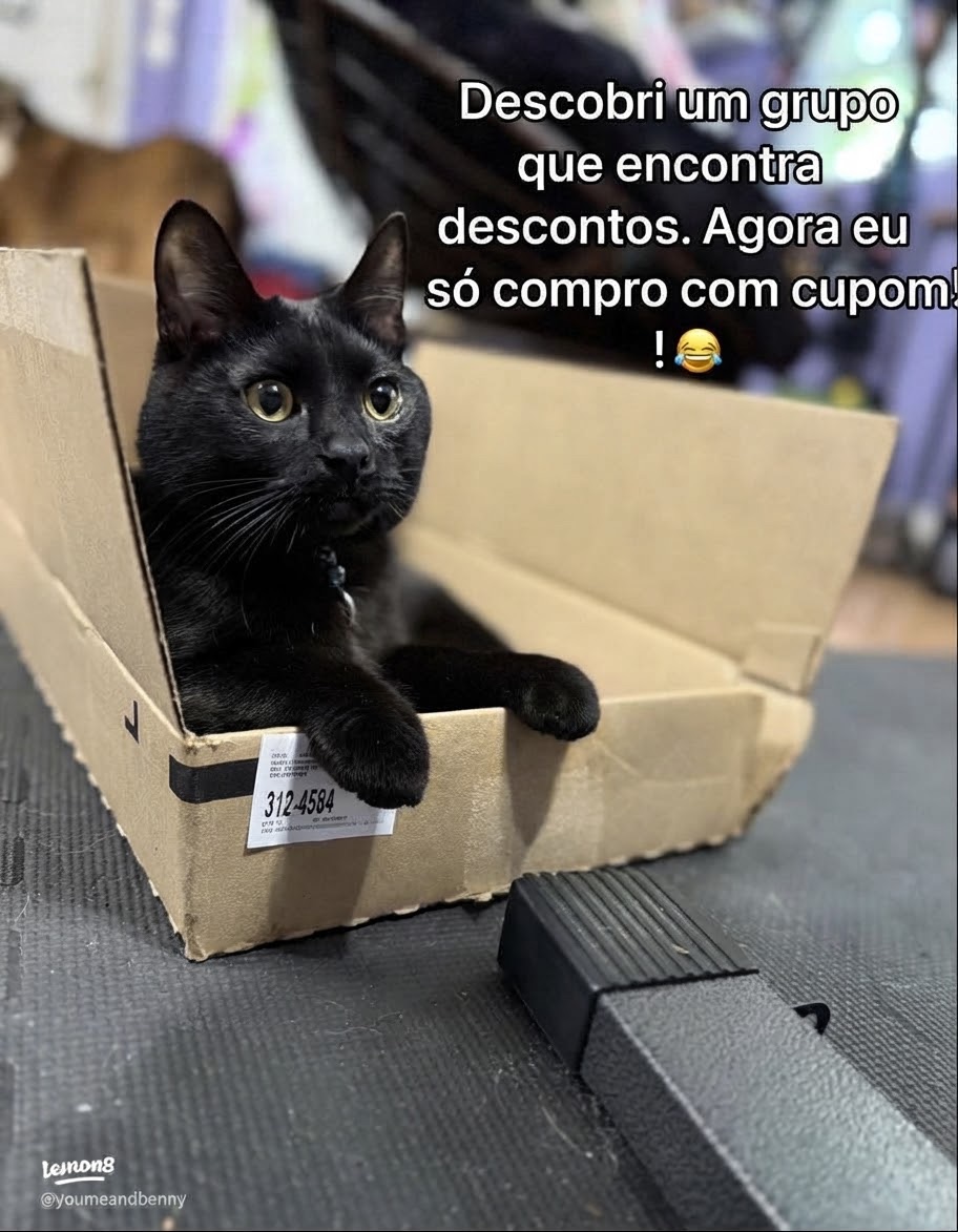 Achadinhos Select 1